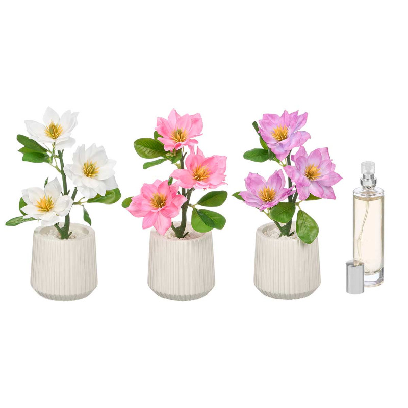 DEODORANTE PIANTA MAGNOLIA PICCOLA ASS 3 COL