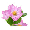 DÉSODORISANT PLANTE PETITE MAGNOLIA ASSORTI 3 COUL