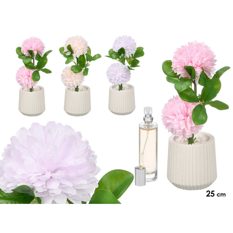 AMBIENTADOR PLANTA CRISÂNTEMO PEQUENA SORT 3 COR