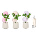SMALL CHRYSANTHEMUM PLANT AIR FRESHENER ASST 3 COL