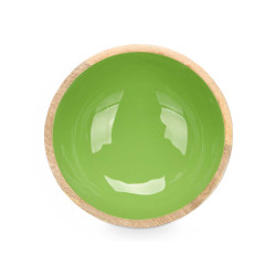BOL 24 CM EN BOIS AVEC MANCHE VERT