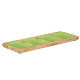 PLATEAU RECT 4 COMPARTIMENTES AVEC MANCHE VERT