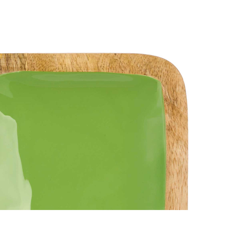 PLATEAU CARRÉ 4 COMPARTIMENTES AVEC MANCHE VERT