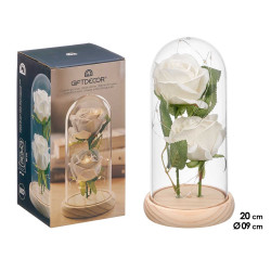DOME 2 ROSE LED BIANCHE