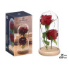 DOME 2 ROSAS LED VERMELHAS