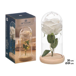 DOME 1 LED ROSA BIANCO