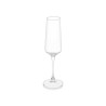 CALICE DA SPUMANTE CONICO 250ML