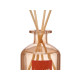 250ML GINGER DIFFUSER WITH STICKS  