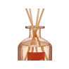 250ML GINGER DIFFUSER WITH STICKS  