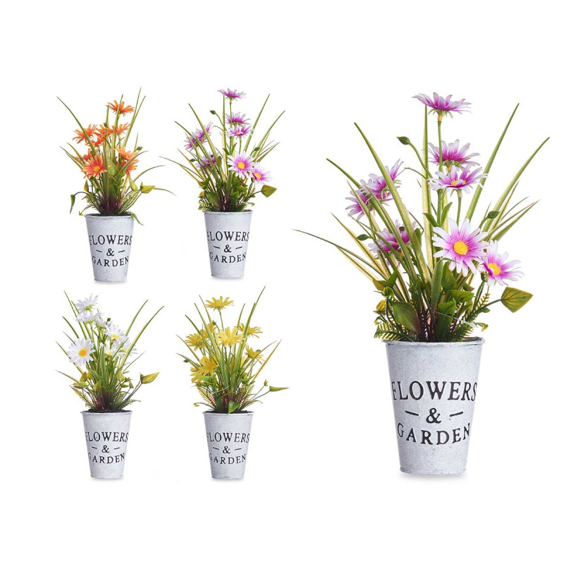 DAISY PLANT METAL POT ASSORT 4