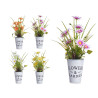 DAISY PLANT METAL POT ASSORT 4