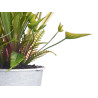 DAISY PLANT METAL POT ASSORT 4