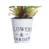 TULIP PLANT METAL POT SURT 4