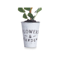 PLANTA ROSA BOTE METAL SURT 4