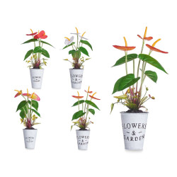 PIANTA GIGLIO VASO METALLO ASSORT 4