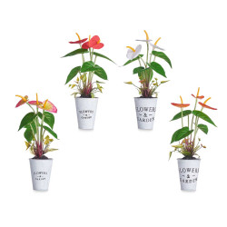 LILY PLANT  METAL POT ASSORT 4