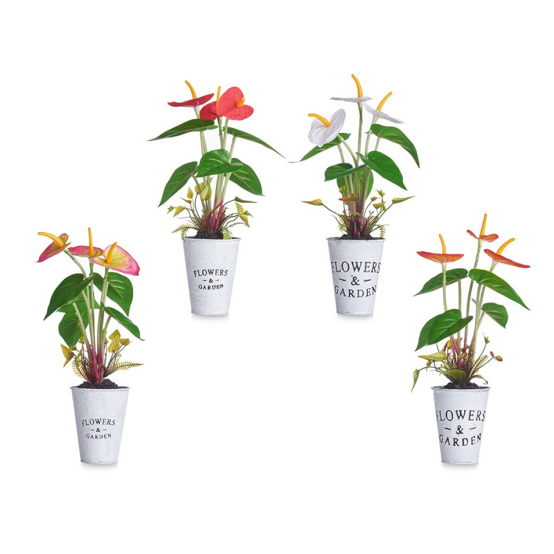 PIANTA GIGLIO VASO METALLO ASSORT 4