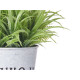 PLANTE FLEUR VERTE VIEILLIE POT MÉTAL 23CM ASSORT3