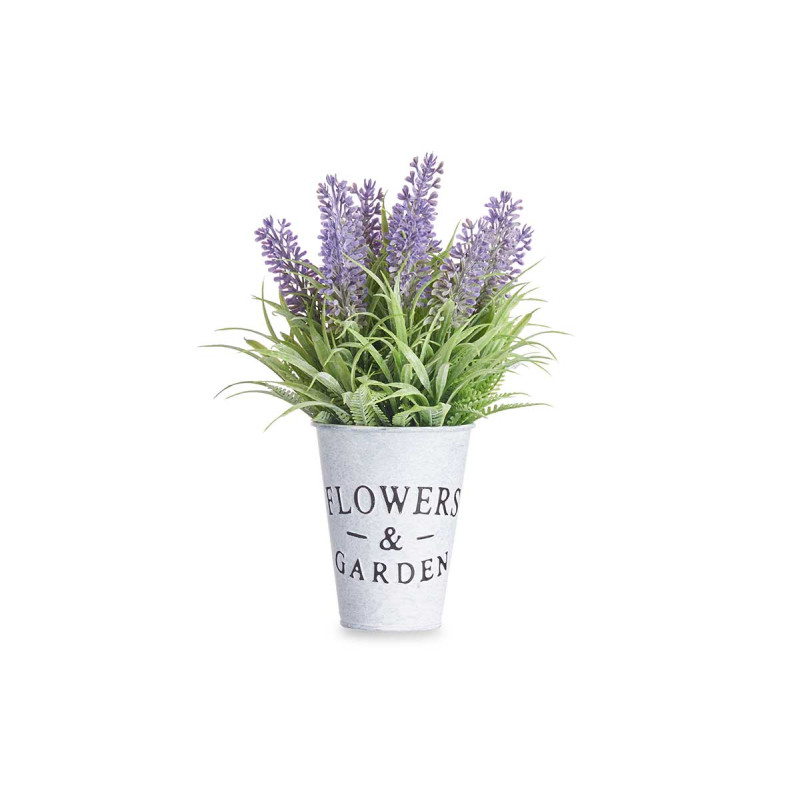 PIANTA LAVANDA VASO METALLO 22CM