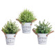 PLANTA FLOR VERDE ENVEJECID BOTE METAL 24CM SURT 3