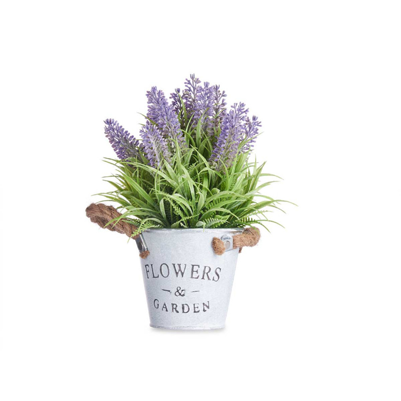 PIANTA LAVANDA VASO METALLO 25CM