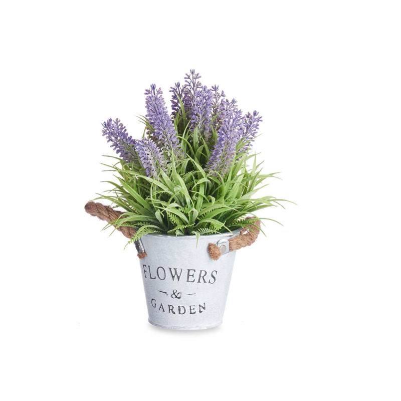PIANTA LAVANDA VASO METALLO 25CM