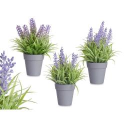 VASO LAVANDA ASSORT 3