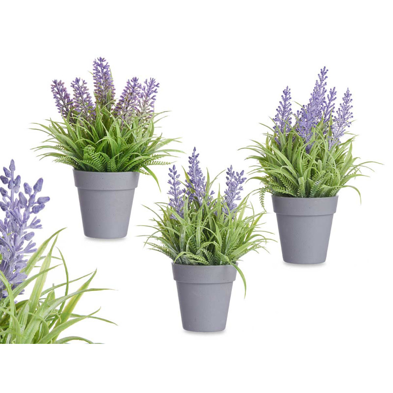 VASO C LAVANDA SORT 3