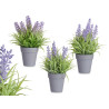 VASO C LAVANDA SORT 3