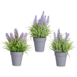 VASO C LAVANDA SORT 3