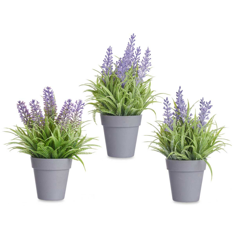 VASO LAVANDA ASSORT 3