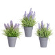 VASO C LAVANDA SORT 3