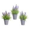 VASO C LAVANDA SORT 3