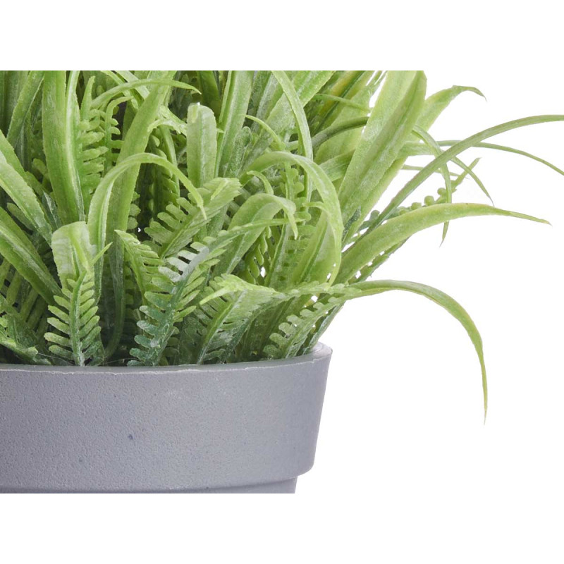 VASO LAVANDA ASSORT 3