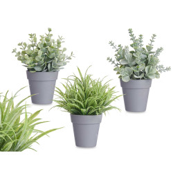 VASO PIANTA VERDE ASSORT 3