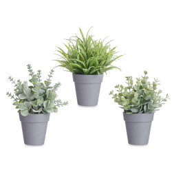 VASO C PLANTAS VERDES SORT 3