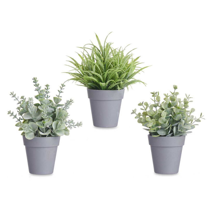 VASO PIANTA VERDE ASSORT 3