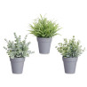 VASO C PLANTAS VERDES SORT 3