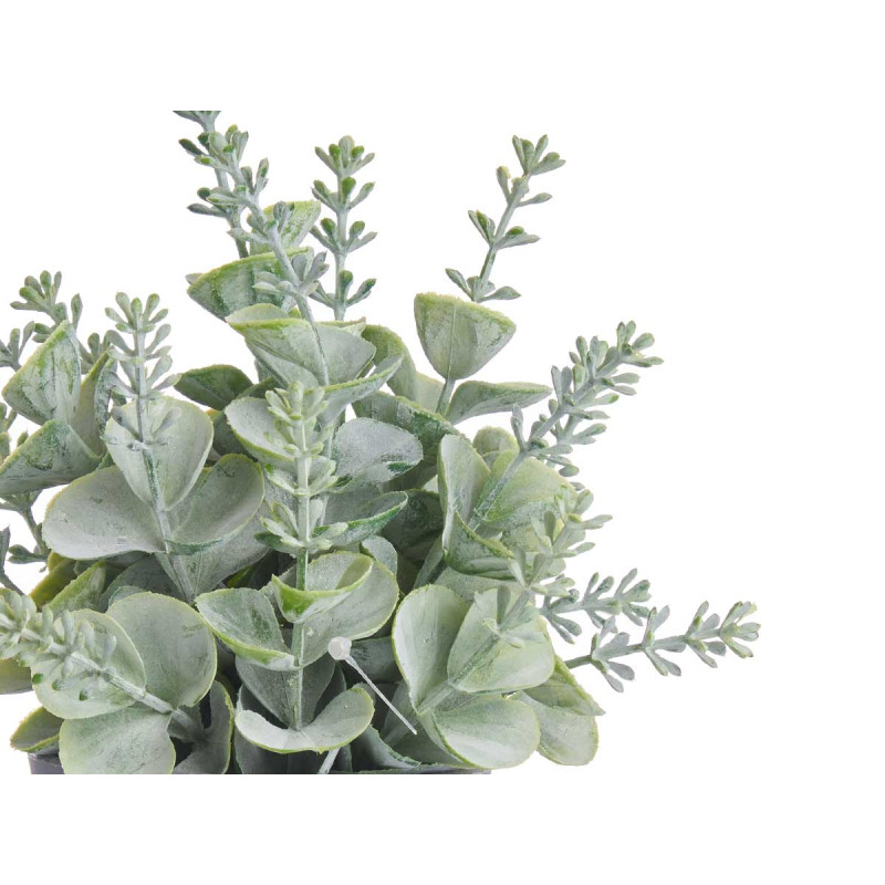 VASO PIANTA VERDE ASSORT 3