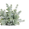 VASO C PLANTAS VERDES SORT 3