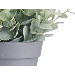 VASO C PLANTAS VERDES SORT 3