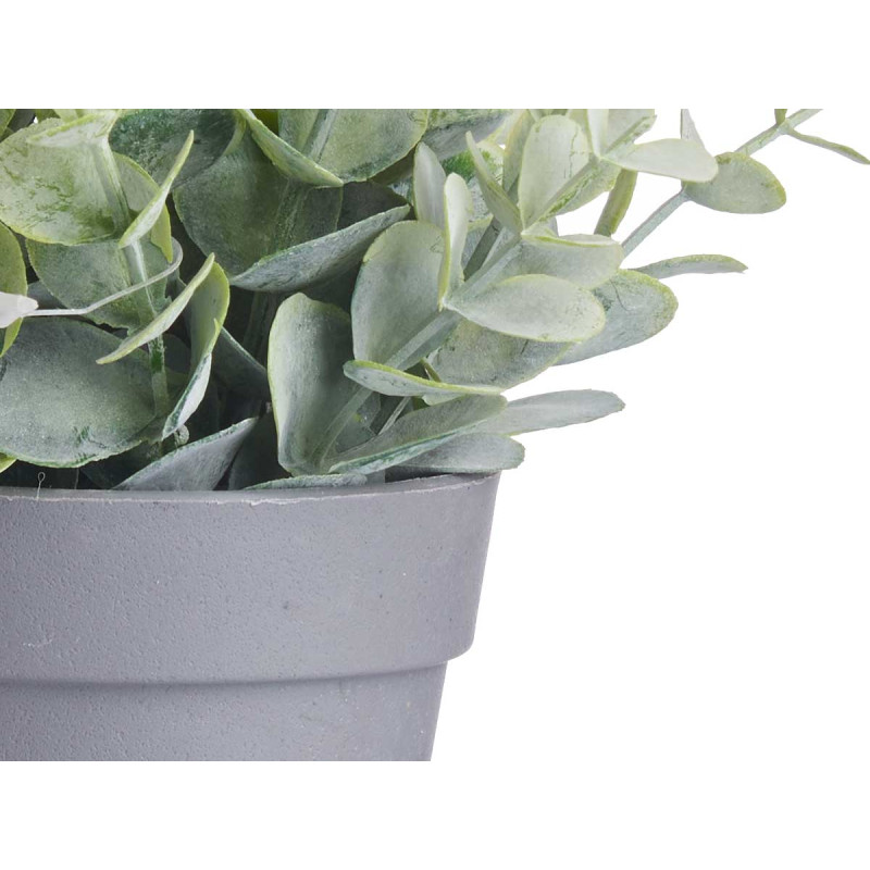 VASO PIANTA VERDE ASSORT 3