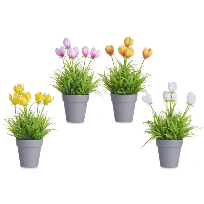 VASO TULIPANO ASSORT 4