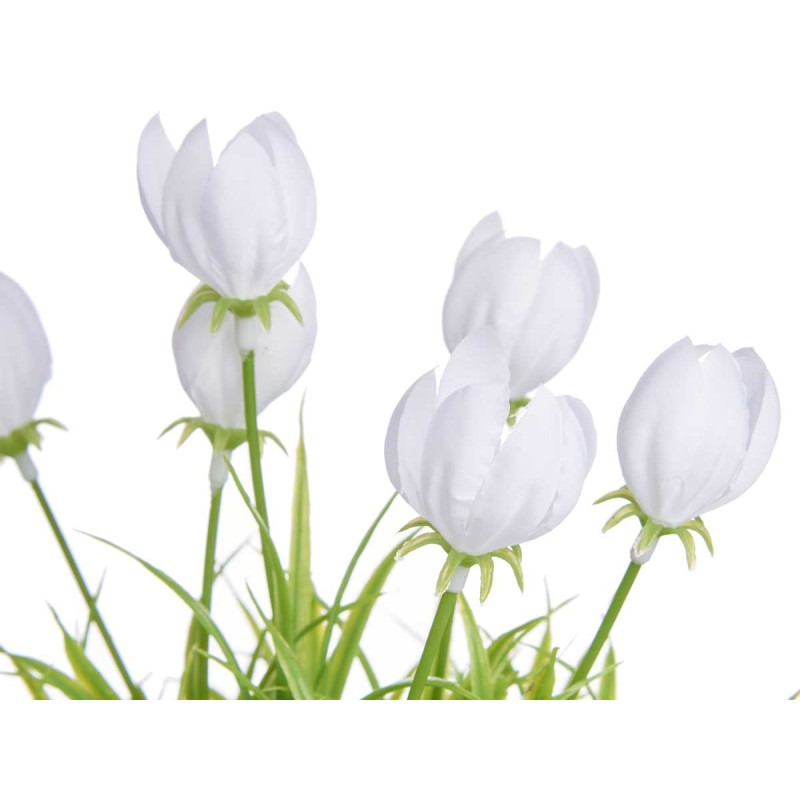 VASO C TULIPAS SORT 4