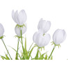 MACETA TULIPAN SURT 4
