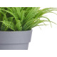 VASO C TULIPAS SORT 4