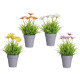 VASO MARGARIDAS SORT 4 