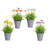 VASO MARGARIDAS SORT 4 