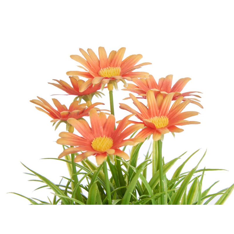 POT MARGUERITE ASSORT 4