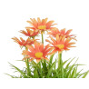 POT MARGUERITE ASSORT 4